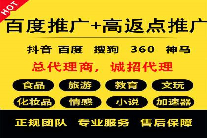 网络推广与竞价广告：双管齐下的策略案例